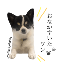 [LINEスタンプ] ムッカ様だぞ！Part2