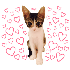 [LINEスタンプ] Sabo＆Louis＆milkスタンプ