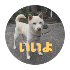 [LINEスタンプ] ぎんがスタンプ。