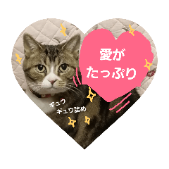 [LINEスタンプ] 桃日々  2