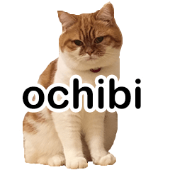 [LINEスタンプ] おちびといっしょ 