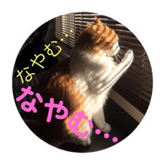 [LINEスタンプ] カルカルカール