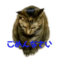[LINEスタンプ] てんてんとクリコ