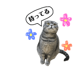 [LINEスタンプ] ポポ・ビルススタンプ2
