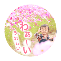 [LINEスタンプ] ひなたスタンプ2.5