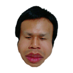 [LINEスタンプ] 観光大の愉快な仲間たち