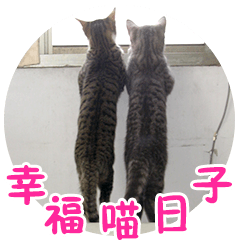 [LINEスタンプ] 幸せなニャンこ日