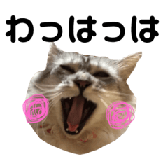 [LINEスタンプ] 白い悪魔"グン"2