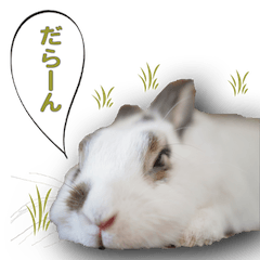 [LINEスタンプ] つづらぬき家のうさぎ 