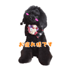 [LINEスタンプ] 可愛い犬のスタンプ3