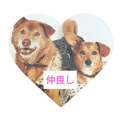 [LINEスタンプ] 読みやすくなった！ワンハムスタンプ