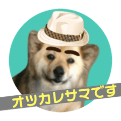 [LINEスタンプ] 雑種犬クマちゃん 