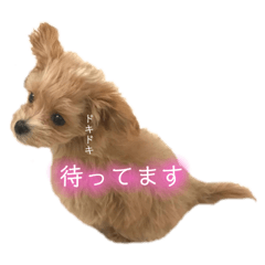 [LINEスタンプ] マルプーのマルコ