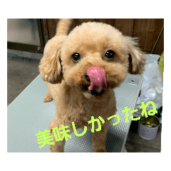 [LINEスタンプ] チコファミリー