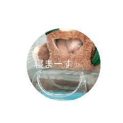 [LINEスタンプ] おマメのスタンプ