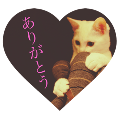 [LINEスタンプ] 優しいルーシー