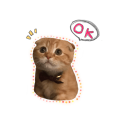 [LINEスタンプ] おサニはん