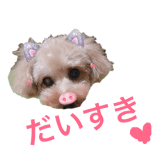 [LINEスタンプ] わんこの日常で使えるスタンプ