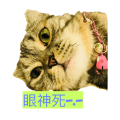 [LINEスタンプ] 米パルプ年 