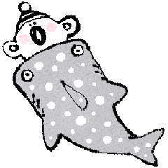 [LINEスタンプ] コアラのニキータ 