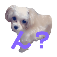 [LINEスタンプ] シナたんくぅたん