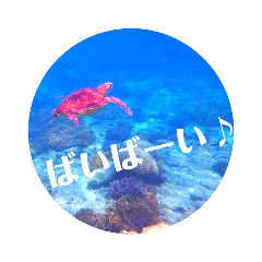 [LINEスタンプ] sea world2♡[日本語]の画像（メイン）
