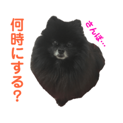 [LINEスタンプ] 黒ぽめだけどスタンプになりたい2