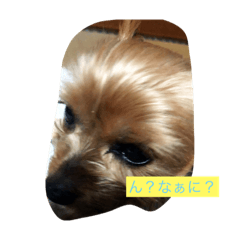 [LINEスタンプ] サラン1 