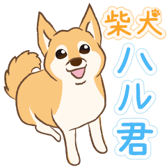 [LINEスタンプ] 柴犬ハル君 