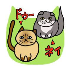 [LINEスタンプ] ざわざわネコさん。 fetchpriority=high