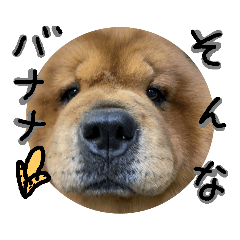 [LINEスタンプ] チャウチャウびより6 