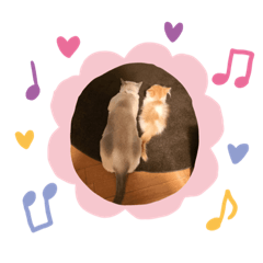 [LINEスタンプ] ベルエマレオそら