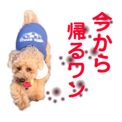 [LINEスタンプ] リベリー＆ピノ byオハナビーズ