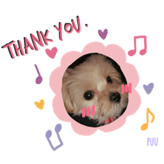 [LINEスタンプ] ぷーたんたんたんたん 