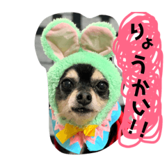 [LINEスタンプ] 宮田家のわんず