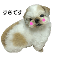 [LINEスタンプ] ずんだもちのスタンプ