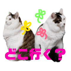 [LINEスタンプ] ペップ君とプティちゃん。仲良し2匹