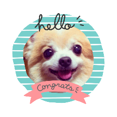 [LINEスタンプ] お喋りチーくんのひとり言☆ 
