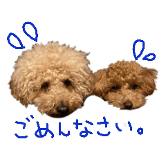 [LINEスタンプ] まいにちロンロコ。 