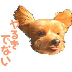 [LINEスタンプ] びっけのすたんぷ。