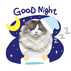 [LINEスタンプ] クルルのスタンプ