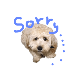 [LINEスタンプ] わんわんルーシー