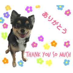 [LINEスタンプ] ちぐさんた