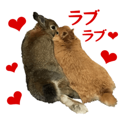 [LINEスタンプ] こむぎちゃんと風太くんFamily