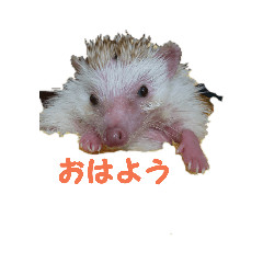 [LINEスタンプ] My、リトルファム