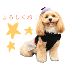 [LINEスタンプ] ペキプー♡つくね姫