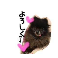 [LINEスタンプ] ボスわか2