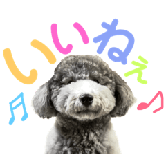 [LINEスタンプ] 今日のSunny part3