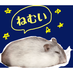 [LINEスタンプ] ハムスターのざこ 