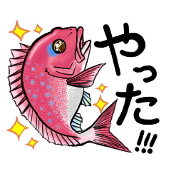 [LINEスタンプ] 魚好きのためのおさかなスタンプ